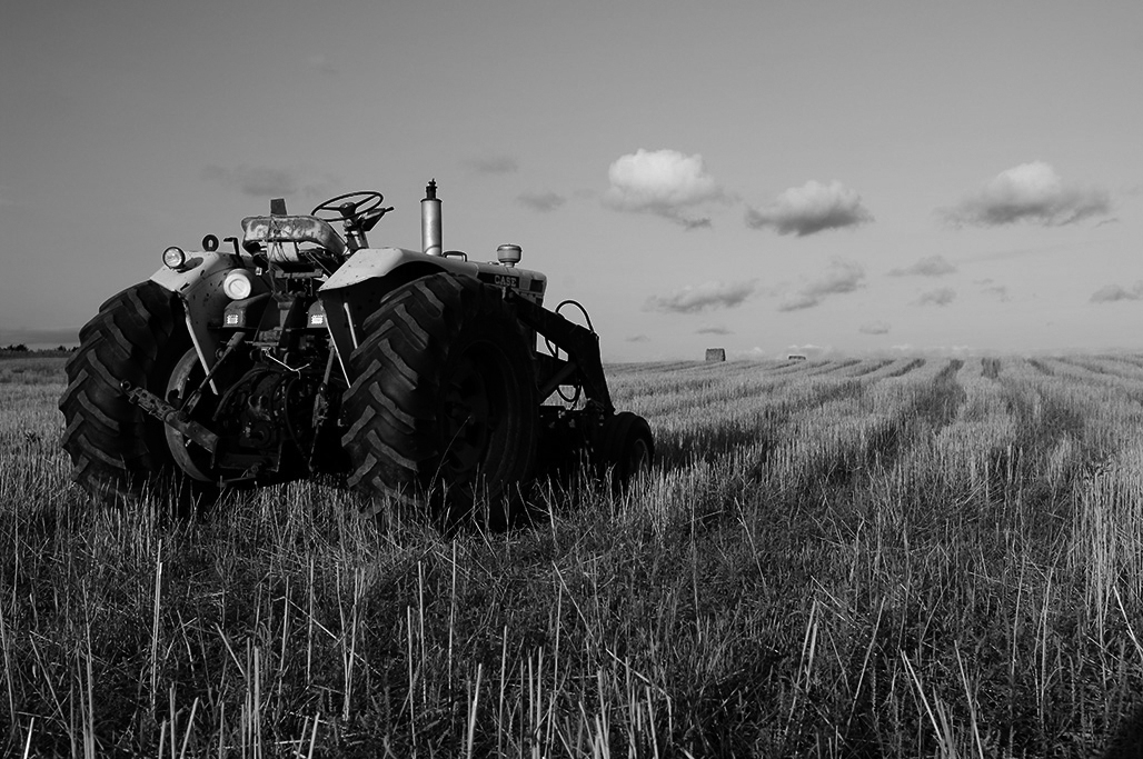 Farm Life